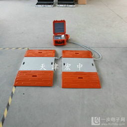 上海60吨便携式电子称重仪 供应上海60吨便携式电子称重仪